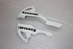 Комплект пластика для мотоцикла Kawasaki ZX-10R 08-10 Зелено-Черный Заводской COLOR+