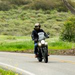 Gringo S / Золотой