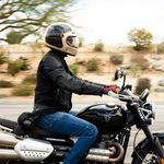 Gringo SV / Черно-коричневый