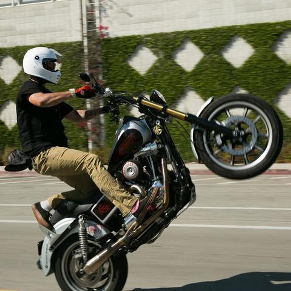 Lane Splitter Gloss / Белый