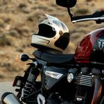 Gringo SV / Черно-коричневый