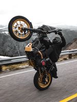 Domain Slabtown / Черный