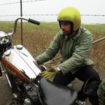 Bonanza Metallic / Желтый