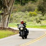 Gringo Flames / Оранжевый