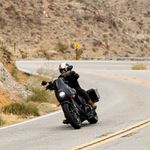 Gringo SV / Черно-коричневый