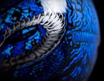 Icon Variant Cottonmouth
