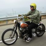 Bonanza Metallic / Желтый