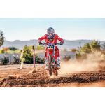 Pant Pulse Hazard / Красный