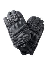 Alciona / Черный