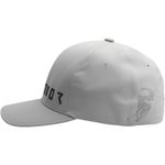 Prime Flexfit Hat / Серый